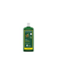 Kaufen LOGONA ARGAN-GLANZ-SHAMPOO 250 ml Von 11,25€