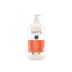 Buy SANTENATURCOSMETIK MOISTURIZING SHAMPOO FAMILY 500 ALOE VERA & MANGO 500 By 8,95€