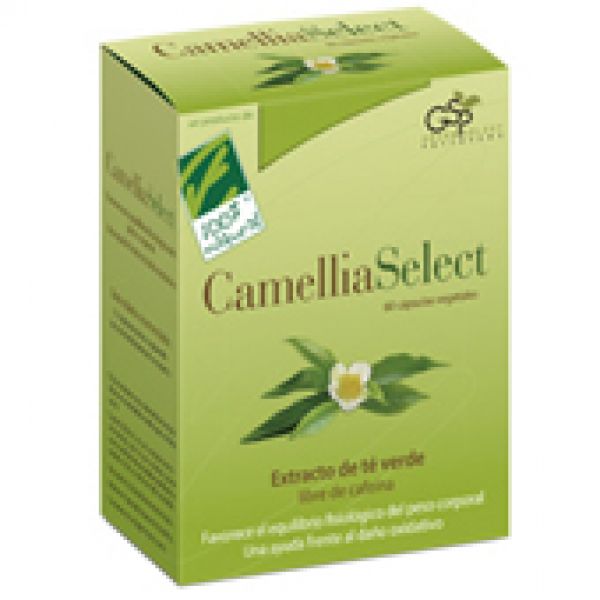 Camelliaselect 60 cápsulas vegetais - 100%NATURAL