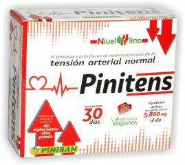 Comprar PINISAN PINITENS 60 CAPS Por 17,32€