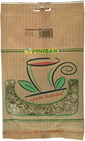 FEUILLES DE GROSELLERO 50 GR - PINISAN