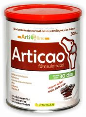 Comprar PINISAN ARTICAO BOTE 300 GR Por 21,95€