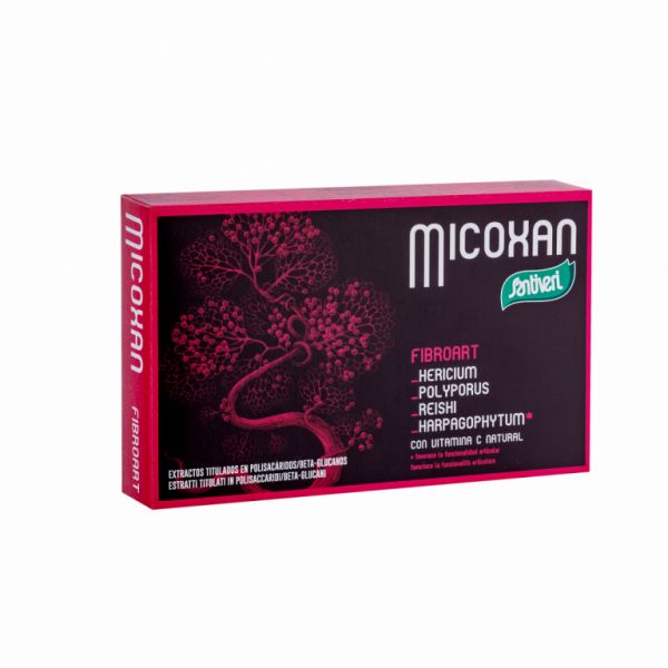 MICOSAN FIBROART 40 CAPSULE - SANTIVERI