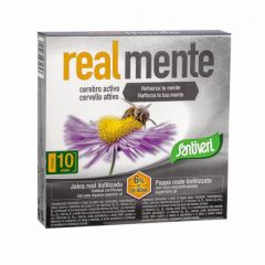 Acheter SANTIVERI CERVEAU VRAIMENT ACTIF 10 FIOLES Par 15,90€