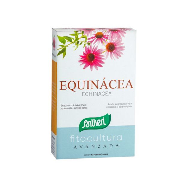 FYTOTHERAPIE PLANTEN ECHINACEA CAPSULES