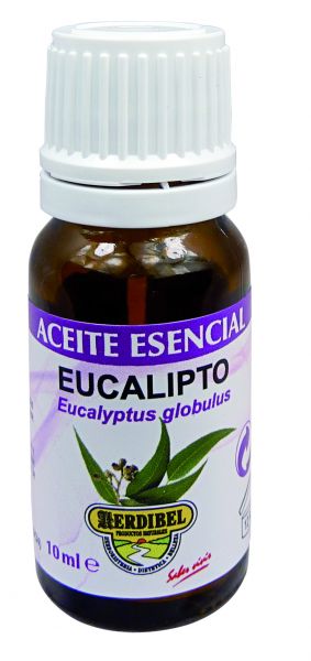 Huile Essentielle d'Eucalyptus 10 ml - HERDIBEL