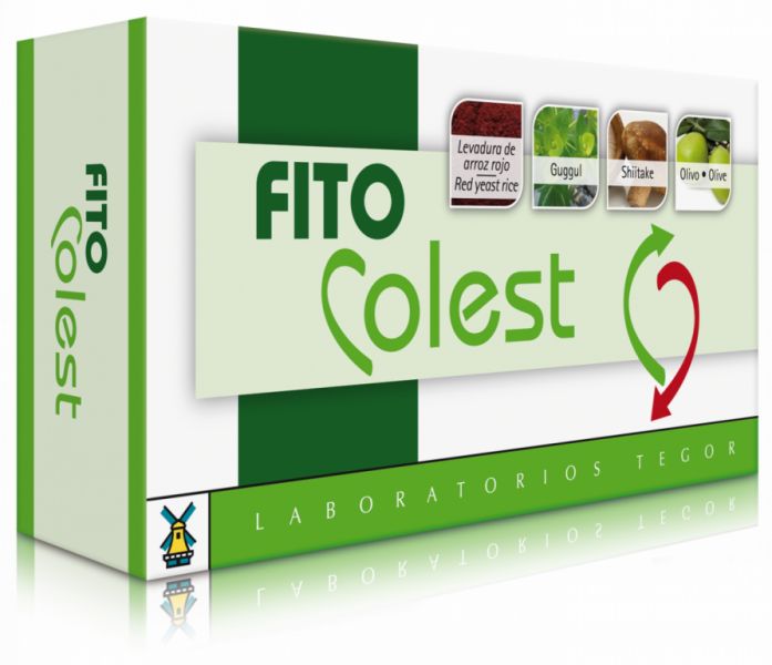 Casquette FITO COLEST 60 - TEGOR