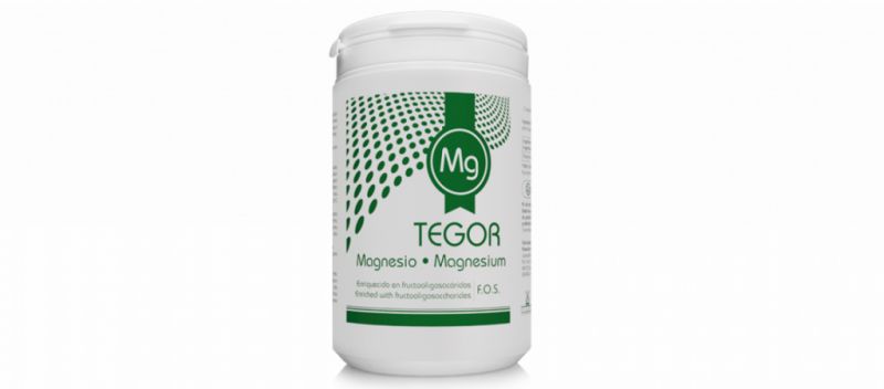 MAGNESI 180 gr - TEGOR