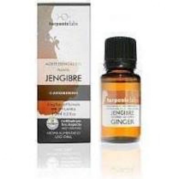 ORGANIC GINGER ESSENTIAL OIL 5ml - TERPENIC