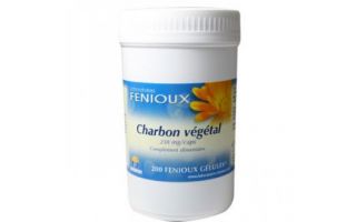 Buy FENIOUX Vegetable Charcoal 200 Capsules 250 mg By 27,21€