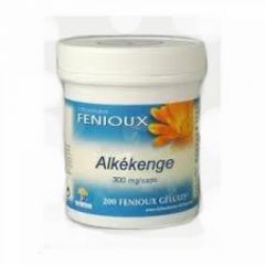 Comprar FENIOUX Alkekenge 300 mg 200 Cápsulas Por 28,87€