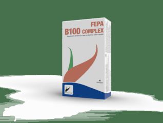 Kopen FEPA FEPA B 100 COMPLEX 60 capsules x 953,18 mg  Raadplegen Prijs