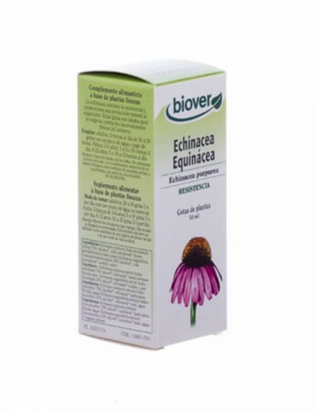 Echinacea 50ml - BIOVER