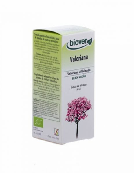 Baldrian-Valeriana officinalis 50 ml - BIOVER