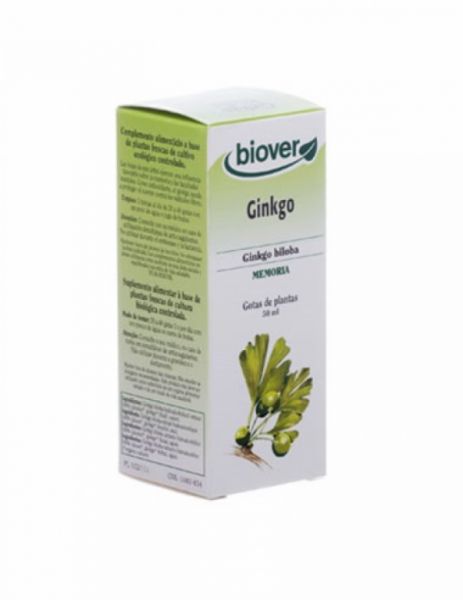 Ginkgo - Ginkgo biloba 50ml - BIOVER