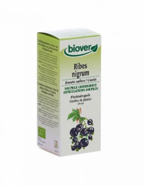 Blackcurrant-Ribes nigrum 50 ml - BIOVER