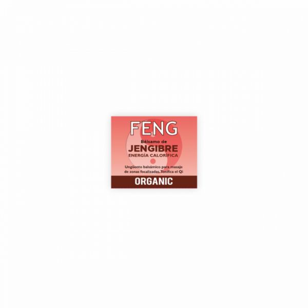 Ginger Balm Ointment 50 ml. - FENG SHUI