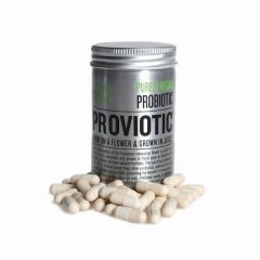 Buy SALUD VIVA PROVIOTIC 30 Cap By 41,50€