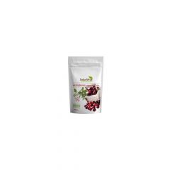 Buy SALUD VIVA RED CHILEAN BLUEBERRIES 200 GRS. (PIECES) By 7,10€