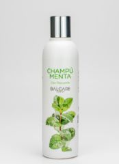 Buy BALCARE COSMETICS Mint Shampoo 250 ml By 9,55€