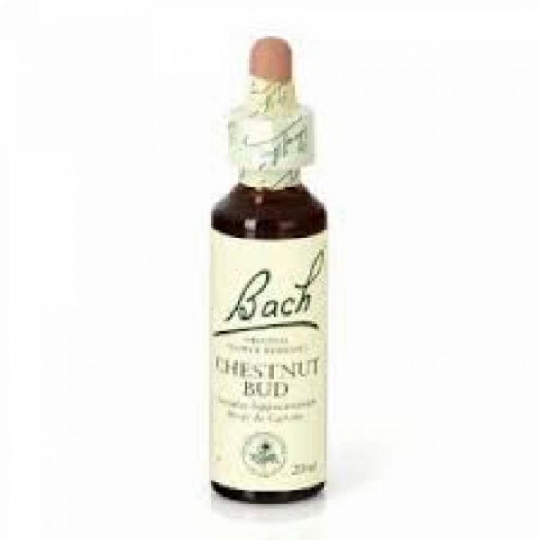 Bachblüten 07 Kastanienknospe 20ml - BACH