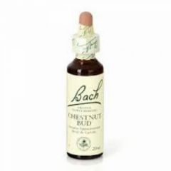 Comprar BACH Flores de Bach 07 Chestnut Bud 20ml De De 16,59€