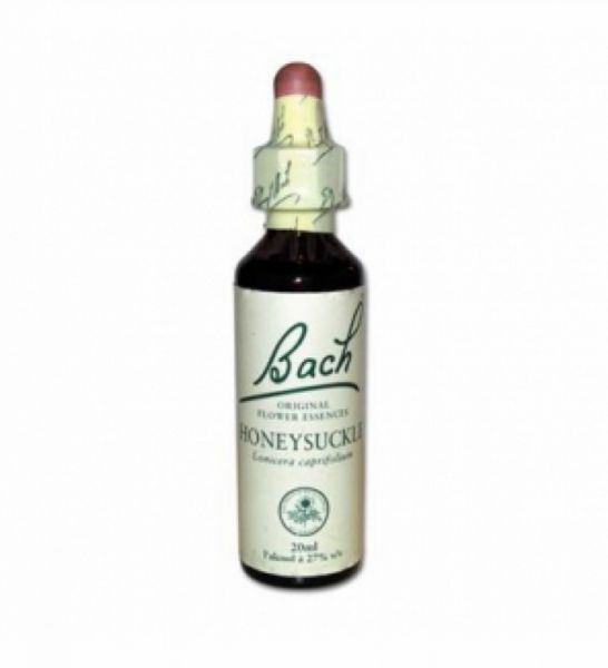 Bachbloesems 16 Kamperfoelie 20 ml - BACH