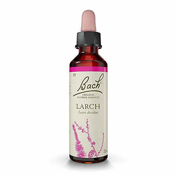 Bach flowers 19 Larch 20 ml - BACH