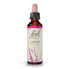 Comprar BACH Flors de Bach 19 Larch 20 ml Des de Des de 16,59€