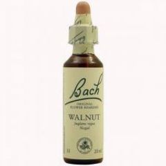 Buy BACH Bach Flowers 33 Walnut Walnut 20 ml From From 16,59€