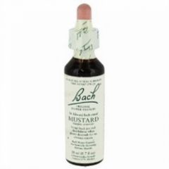 Buy BACH Bach flowers 21 Mustard 20 ml From From 16,59€