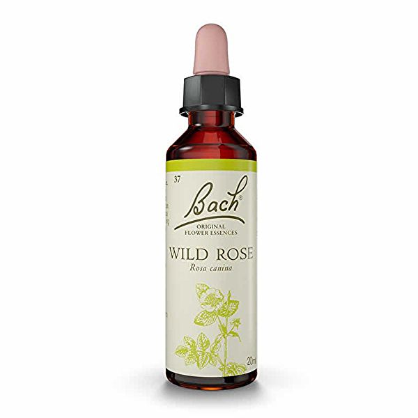 Bach Flowers 37 Wild Rose 20ml - BACH