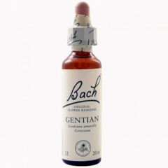 Kopen BACH Bachbloesems 12 Gentiaan 20 ml Van Van 16,59€