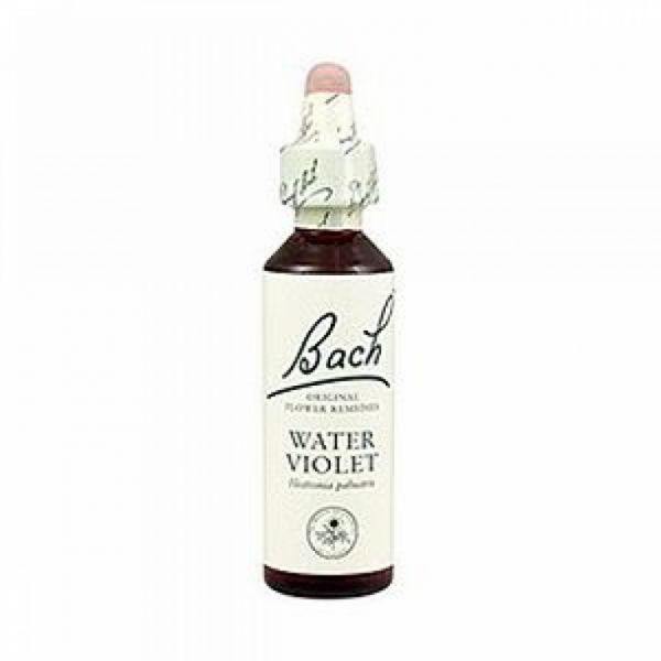 Bach Flowers 34 Water Violet 20ml - BACH