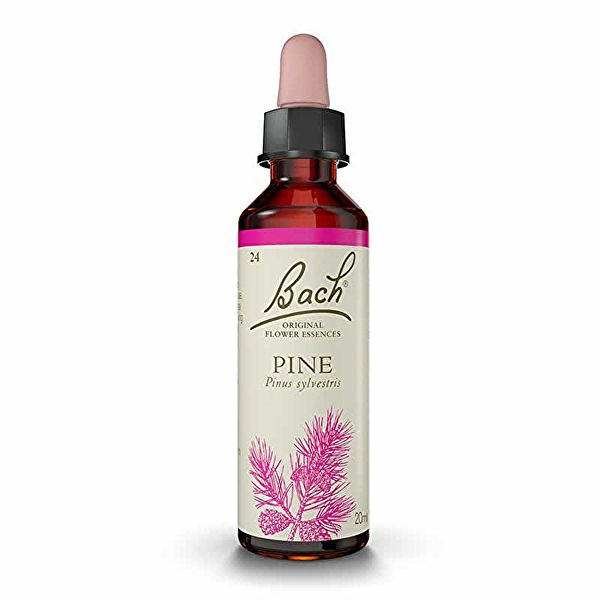 Bach Flowers 24 Pine 20ml - BACH