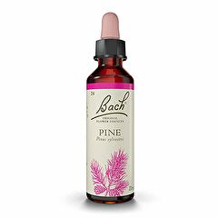 Buy BACH Bach Flowers 24 Pine 20ml From From 16,59€