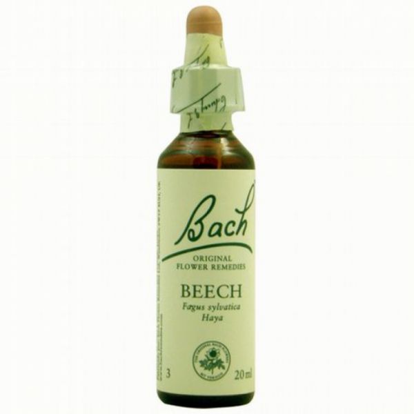 Bachblüten 03 Buche 20ml - BACH