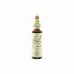 Comprar BACH Flors de Bach 14 Heather 20 ml Des de Des de 16,59€