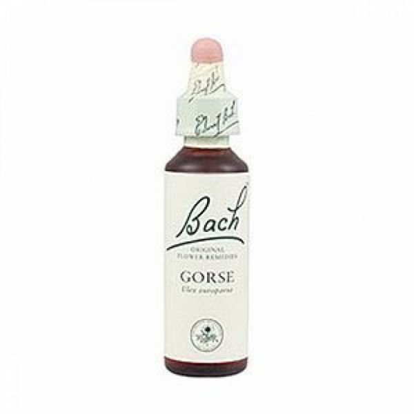 Fiori di Bach 13 Gorse 20 ml - BACH