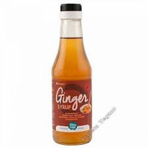 GINGER SYRUP 250 ml - TERRASANA