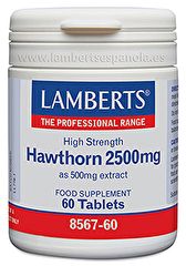 Buy LAMBERTS Hawthorn 2500 mg 60 Tablets By 23,85€