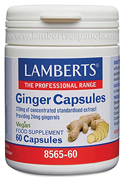 Gember 60 capsules - LAMBERTS