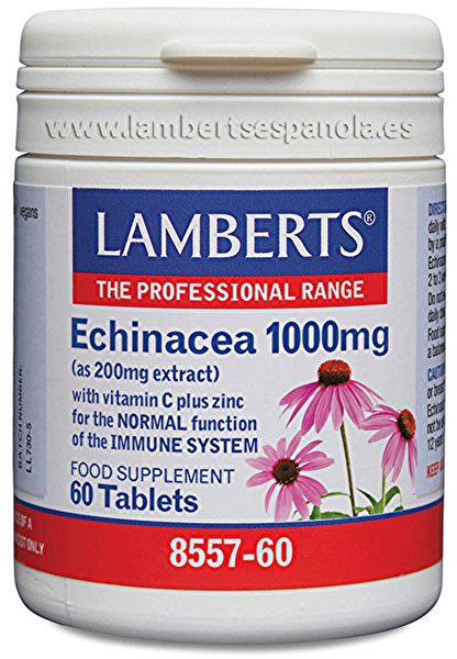 Echinacea 60 Capsule - LAMBERTS