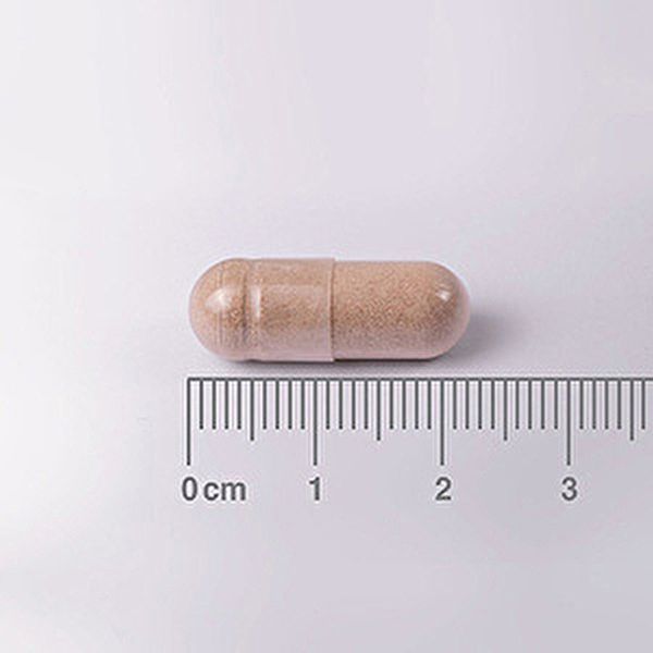 L-Teanina 200 mg 60 Capsule - LAMBERTS Img 4