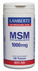 Comprar LAMBERTS MSM 120 comprimidos Por 30,25€