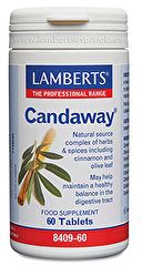 Comprar LAMBERTS Candaway® 60 comprimidos Por 37,95€