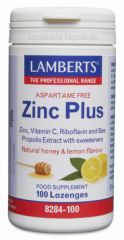 Comprar LAMBERTS Zinc Plus 100 Pastillas Por 18,95€