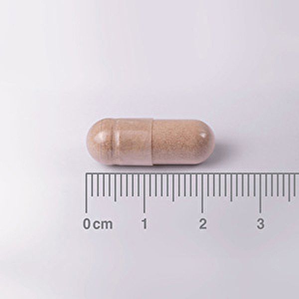 Theanine en Citroenmelisse 60 tabletten - LAMBERTS Img 4