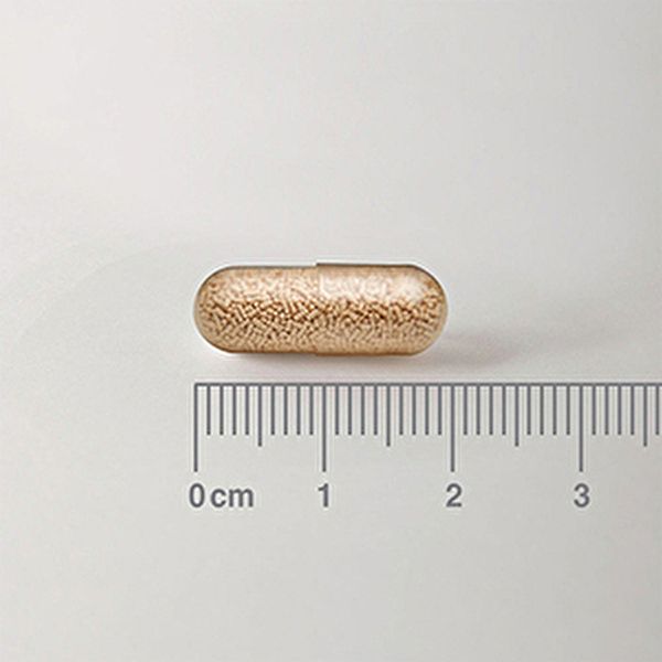 Saccharomyces Boulardii 30 capsule - LAMBERTS Img 4