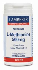 Acheter LAMBERTS L-Méthionine 500 mg 60 Gélules Par 26,85€